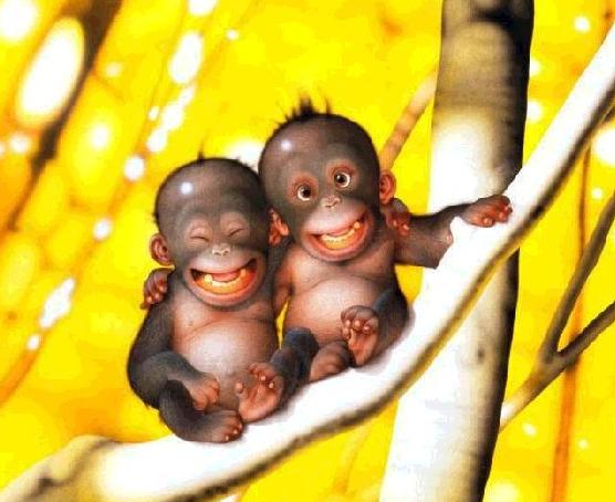 Sourir des singes